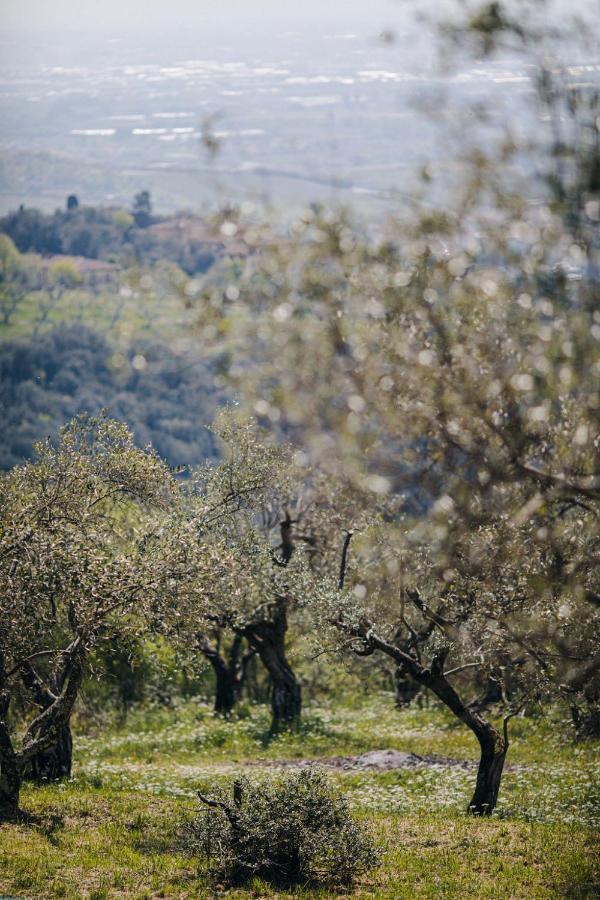 Villa Desiderio Tuscany 피스토이아 외부 사진