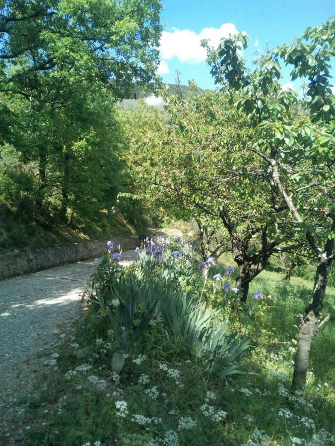 Villa Desiderio Tuscany 피스토이아 외부 사진